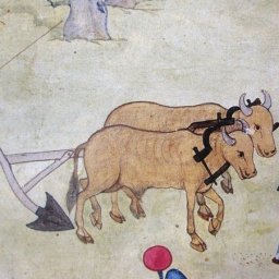 Toprak II : Tarım ve Toplum