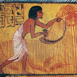 Antik Mısır’ın Dili: Tahıl